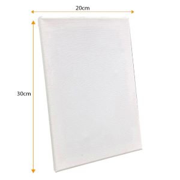 TELA DE PINTURA 20X30CM YINS PAPER