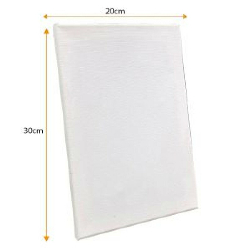 TELA DE PINTURA 20X30CM YINS PAPER